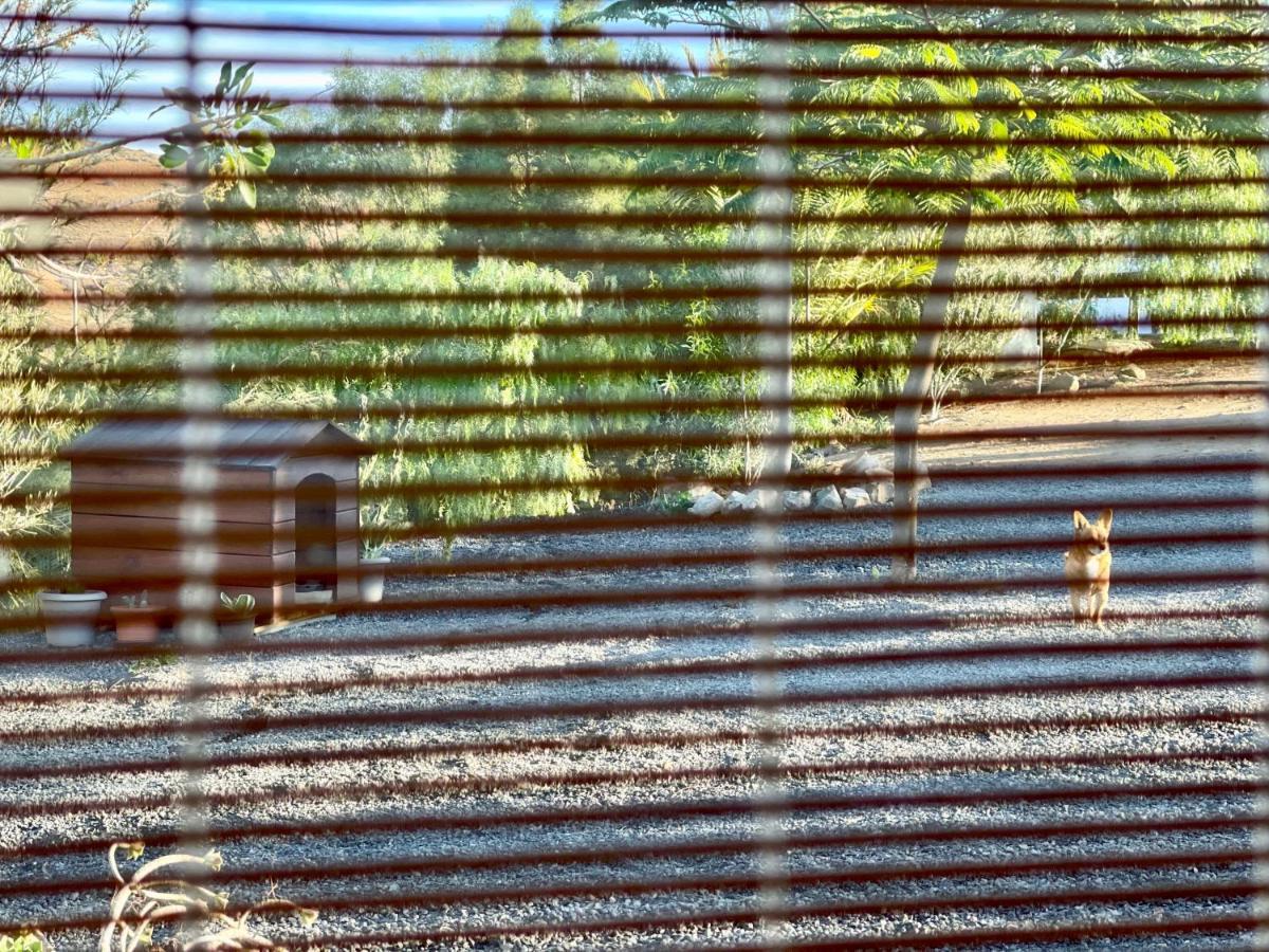 La Casita Del Mojino Διαμέρισμα Betancuría Εξωτερικό φωτογραφία